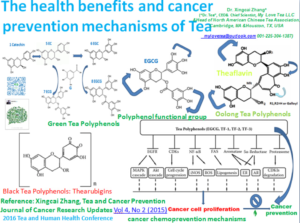 Dr. Tea: Tea and Cancer Prevention