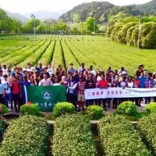 world tea day at chinese international tea promotion base