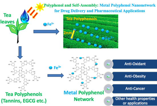 Tea Polyphenol and Nanotechnology